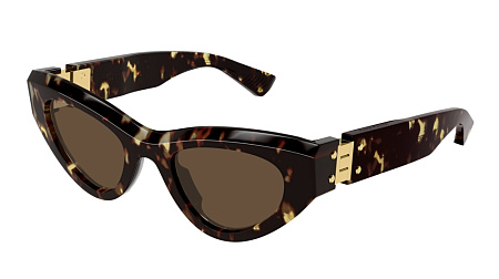Bottega Veneta BV1142S-002 49 Sunglass HAVANA-HAVANA-BROWN Bottega Veneta BV1142S-002 49 Sunglass HAVANA-HAVANA-BROWN