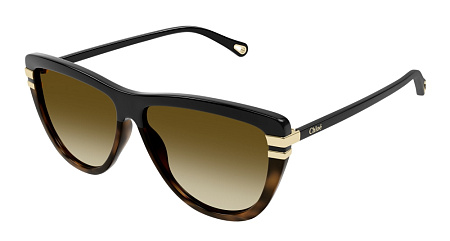 Chloe CH0203S-003 59 Sunglass BLACK-BLACK-BROWN